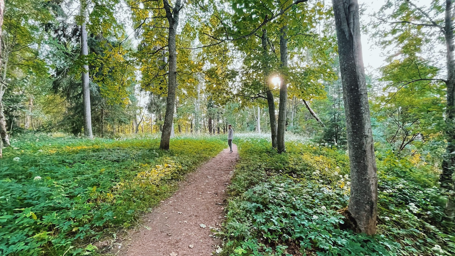 Toila Oru park Ida-Virumaal, Eesti Paigad