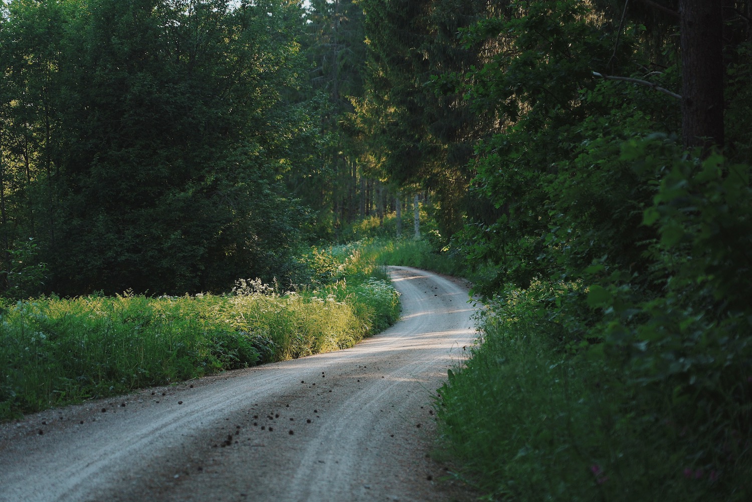 Poet's Nest kodumajutus, luuletaja suvekodu valgamaal, ilusad puhkemajad Eestis