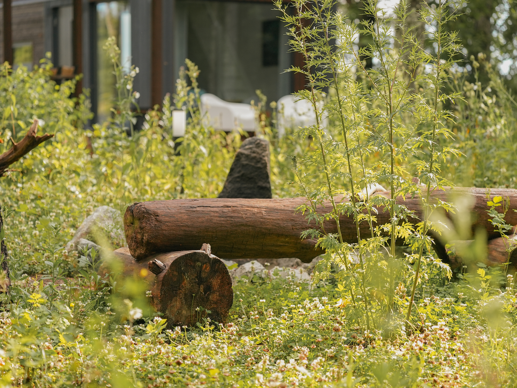 Shanti holiday house in Laoküla, Paldiski, on Pakri Peninsula with a sauna, terrace, and grill for a romantic vacation, the best holiday houses in Estonia