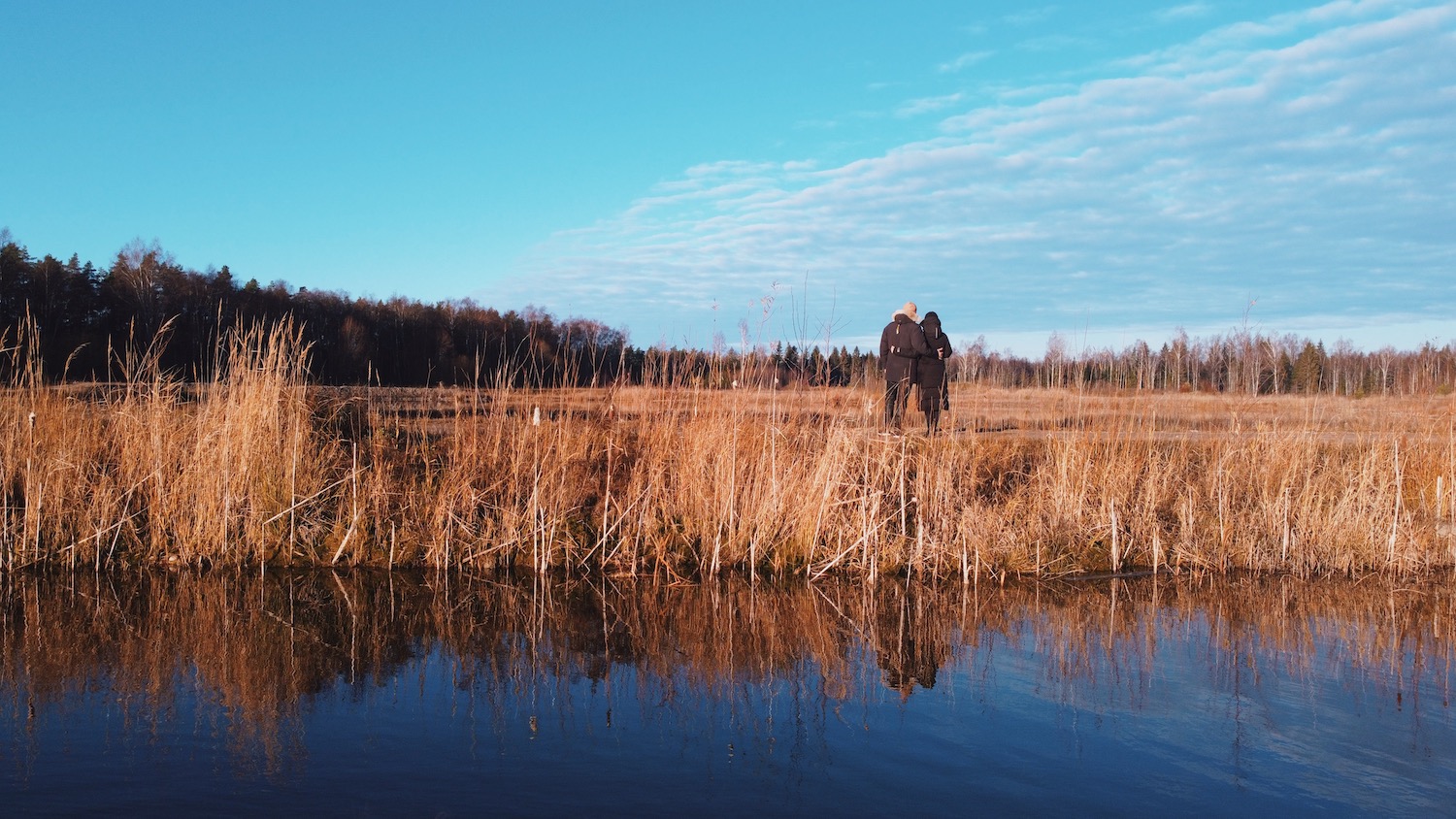 Best Estonian holiday homes in Estonia with a sauna, Pihlaka hunting cabin, Eesti Paigad