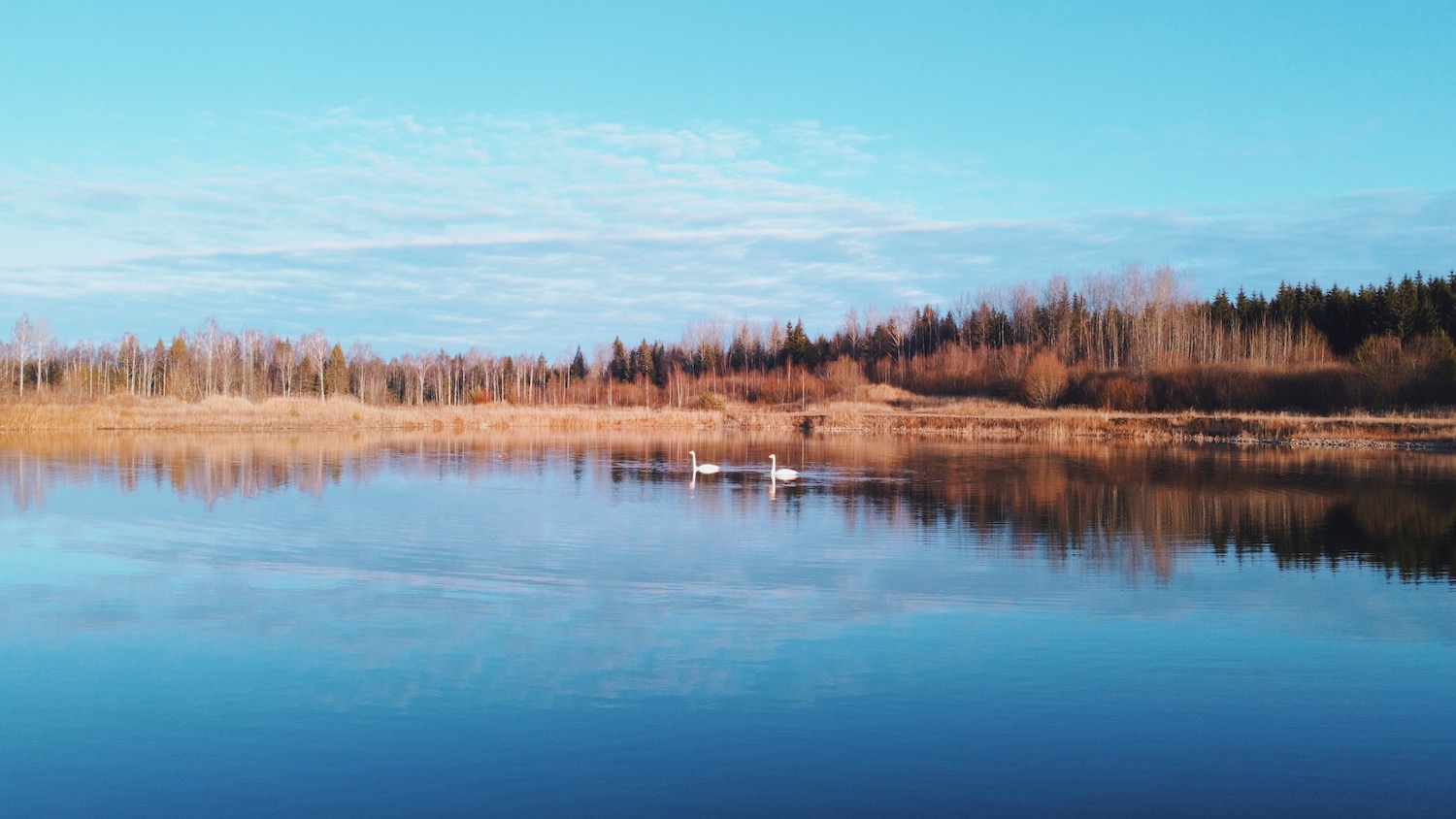 Pihlaka hunting cabin in Estonia the best scenic holiday homes in the middle of the nature, Eesti Paigad