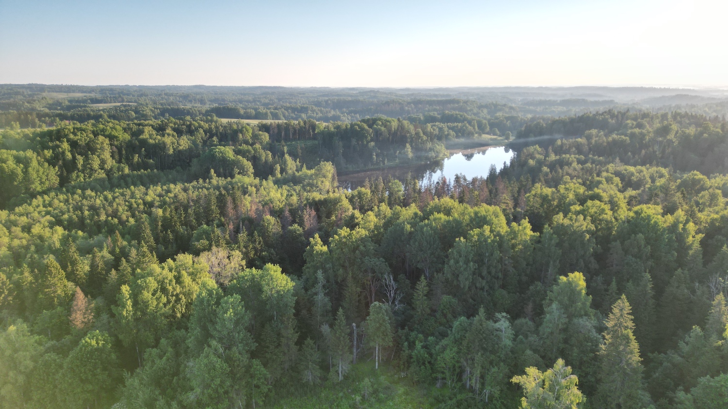 Poet's Nest kodumajutus, luuletaja suvekodu valgamaal, ilusad puhkemajad Eestis