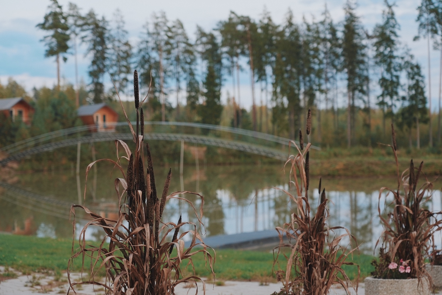 Metsjärve puhkekeskus Põlvamaal puhkemaja majutuskoht firmapeo peokoht peoruumid, parimad puhkemajad Põlvamaal Eestis