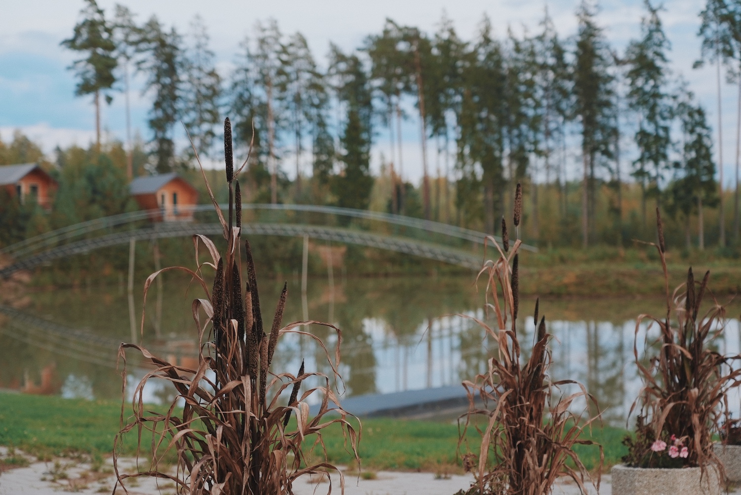 Metsjärve puhkekeskus Põlvamaal puhkemaja majutuskoht firmapeo peokoht peoruumid, parimad puhkemajad Põlvamaal Eestis