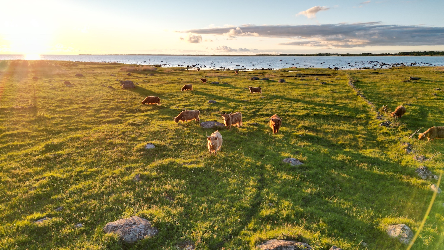 Mullivanniga puhkemaja Matsalus Villa Mere, puhka Eestis, Eesti Paigad