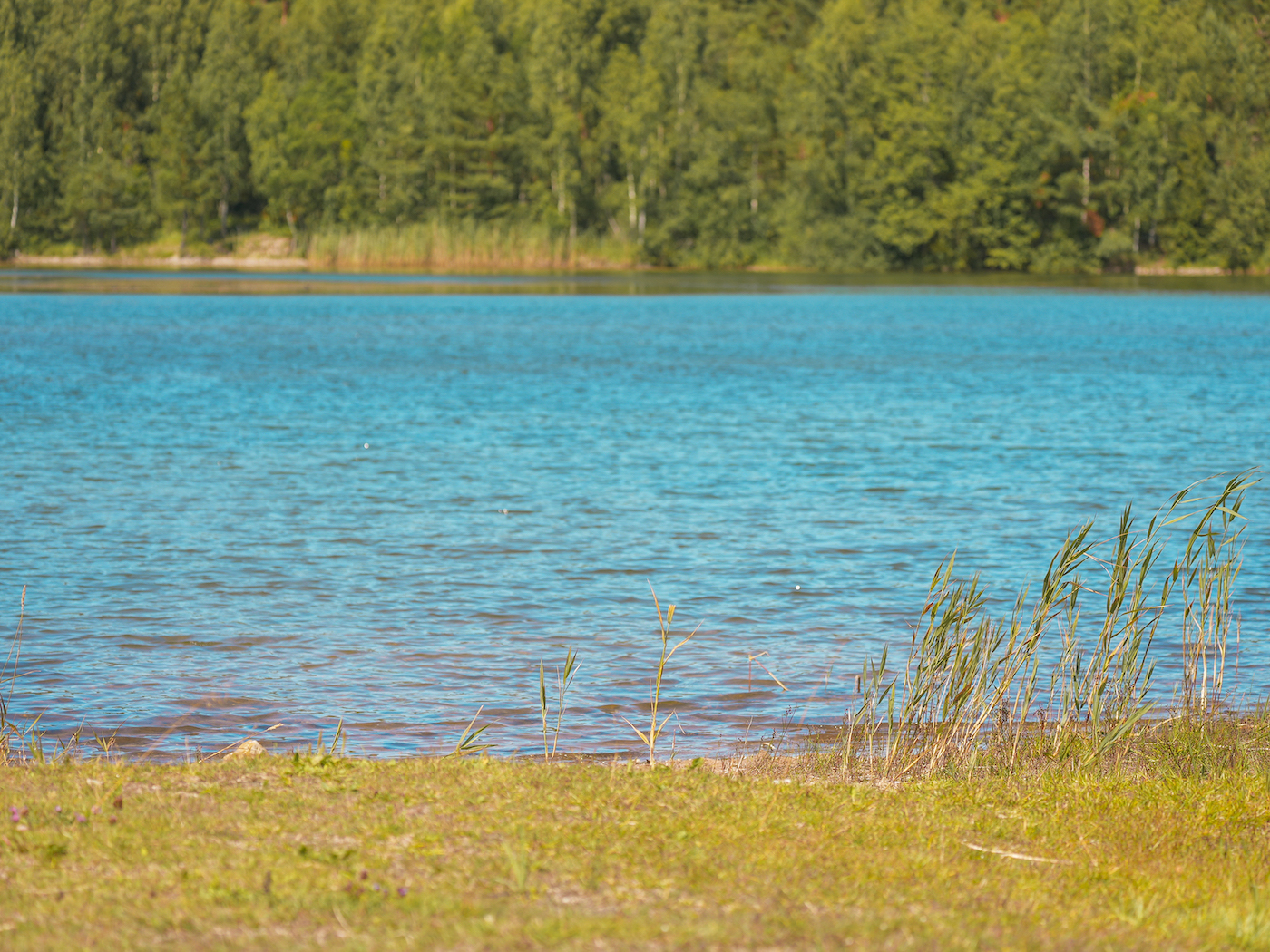 The Peaceful Vacation luxury accommodation holiday homes near Konuti Lake in Saaremaa, best holiday homes in Estonia