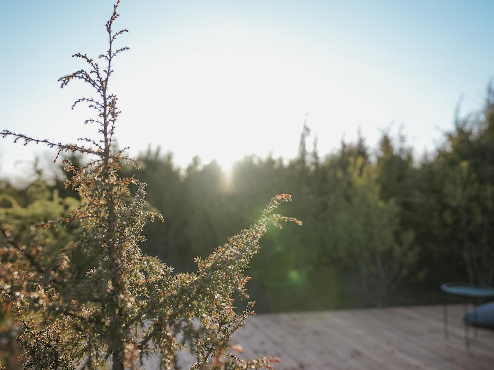 A holiday house with a sauna and a hot tub in the woods, Estonian cabin mirror house with jacuzzi - Juniper Minivillas, the best holiday homes in Estonia