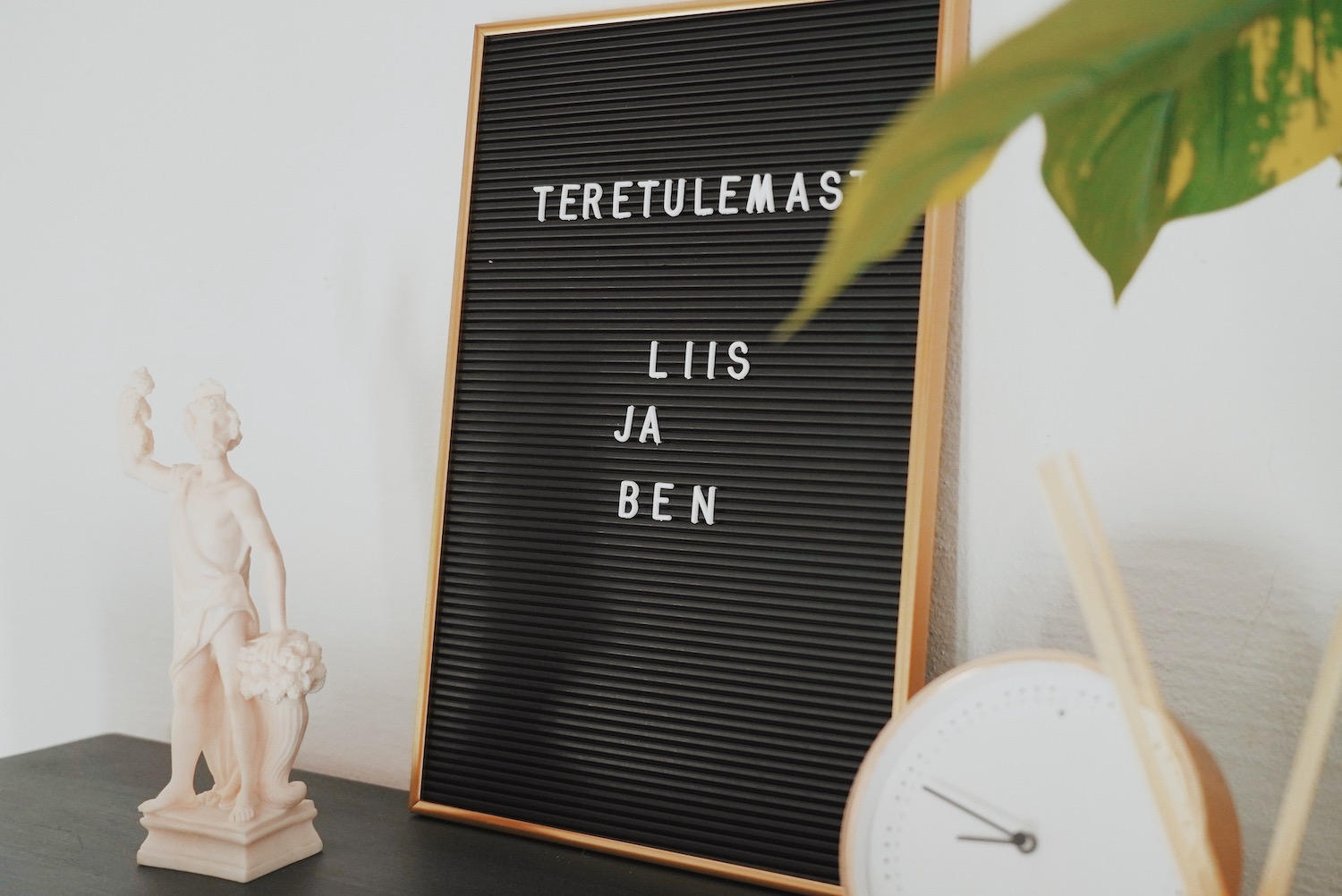 Poet's Nest kodumajutus, luuletaja suvekodu valgamaal, ilusad puhkemajad Eestis